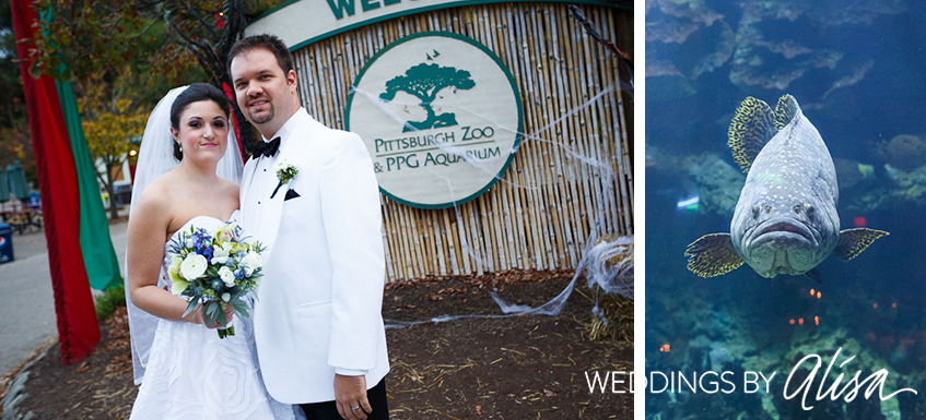 pittsburgh-zoo-wedding-photographers-39